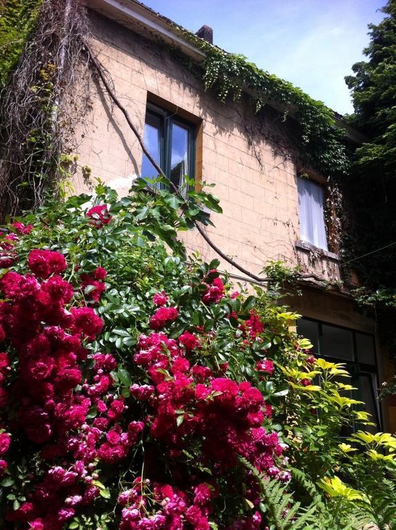 בריסל Guest House Backhouse מראה חיצוני תמונה