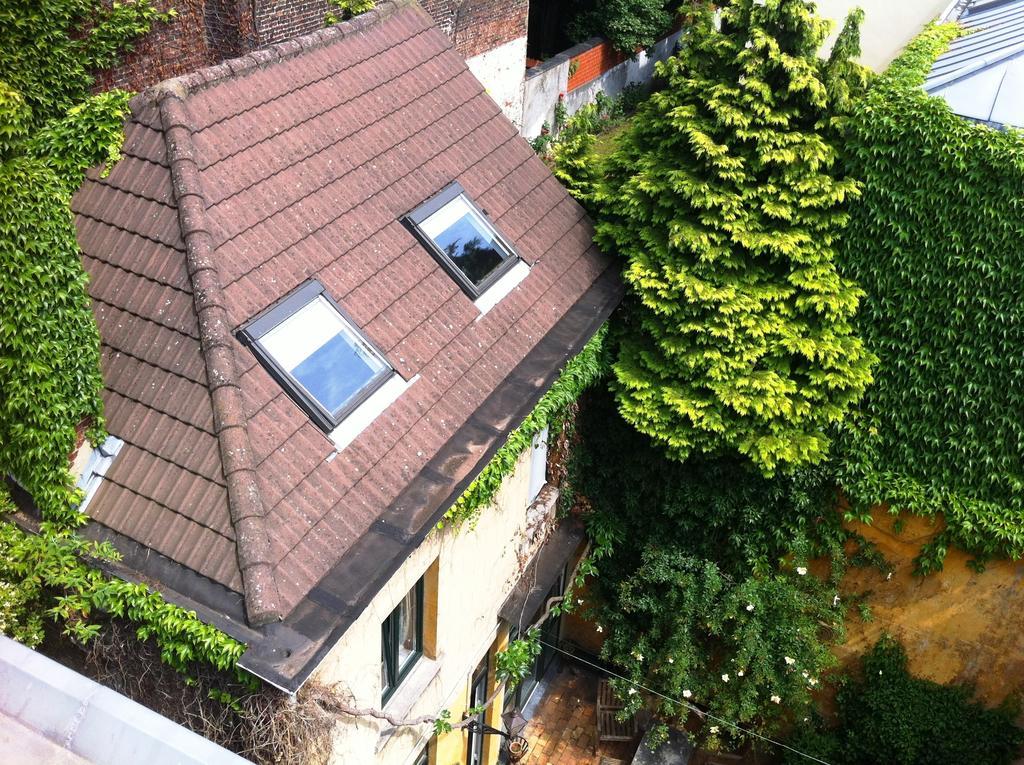 בריסל Guest House Backhouse מראה חיצוני תמונה
